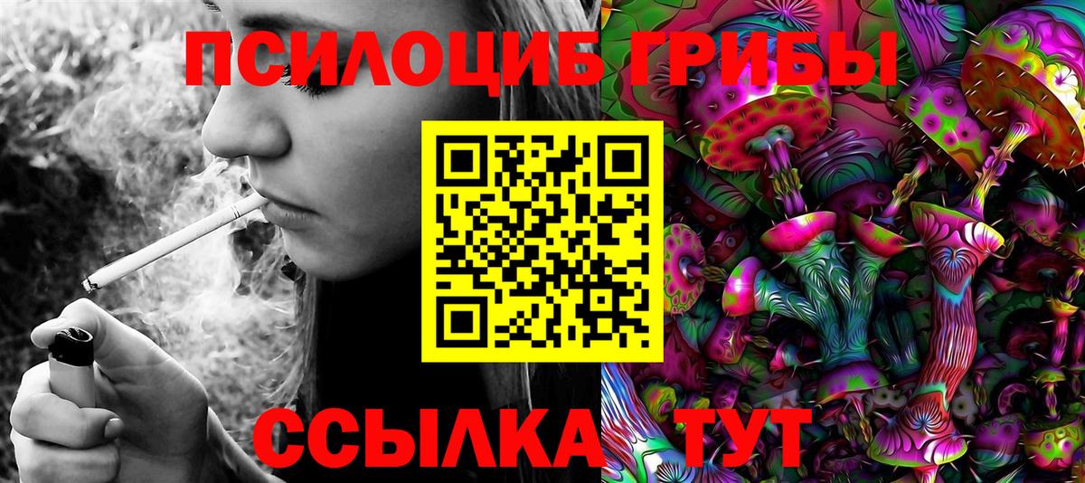 Кашира  Галлюциногенные грибы ЛСД  наркота  Псилоцибиновые грибы мицелий  Вход с VPN 